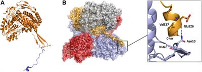 Insights into Aldehyde Dehydrogenase Enzymes: A Structural Perspective